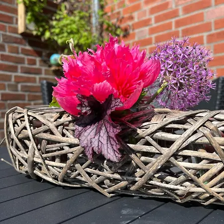 Lägenhet Schlafen Beim Sandmann Dörpen