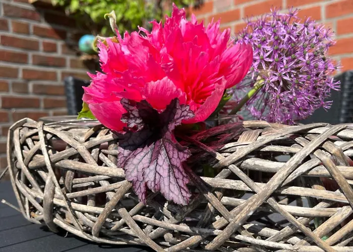 Appartement Schlafen Beim Sandmann Dörpen